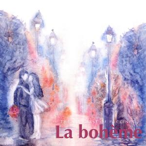 La bohème: Act I, O soave fanciulla