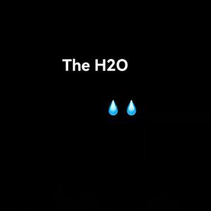 H2O