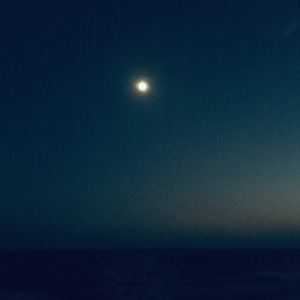 飛べなかった星