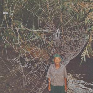 love beams (feat. Timothy Bright & awfulmane)