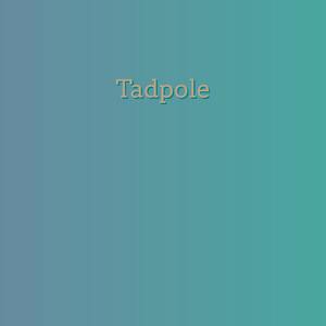 Tadpole