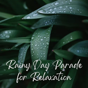 Rainy Day Parade for Relaxation - 1 Hour