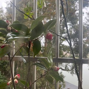 [FREE]Future Type beat