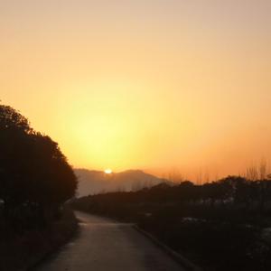 你不懂我我不怪你