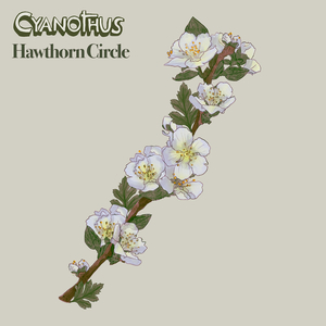 Hawthorn Circle