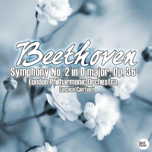 Symphony No. 2 in D major, Op. 36: I. Adagio molto