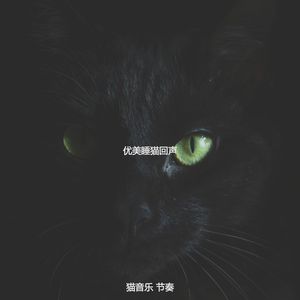 温和训练猫梦想