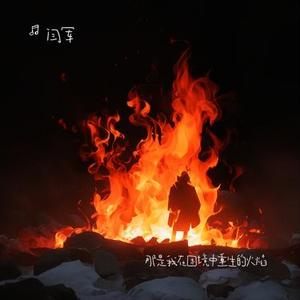 那是我在困境中重生的火焰