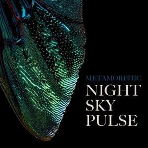 Metamorphic