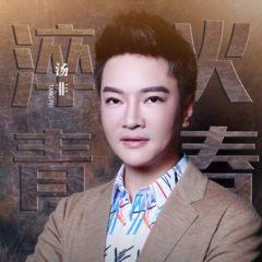 淬火青春(央视纪录片《兵之初》主题曲)