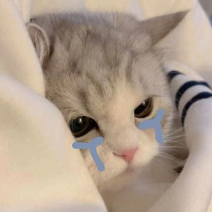 不得不爱(女生版)