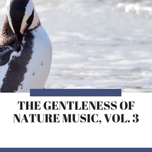 Raining at the Ocean Borders