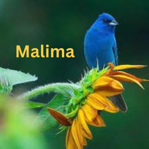 Malima