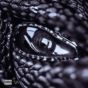 Блэк Уайт Оушен