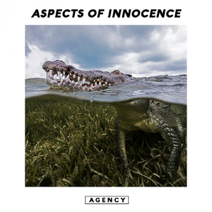 Widower (Original Mix)