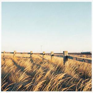 Golden Fields