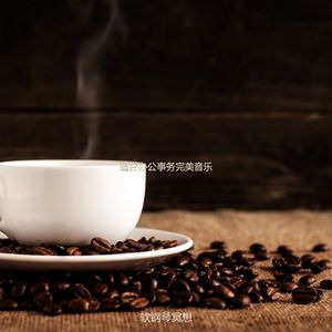 适合餐馆美丽的音乐