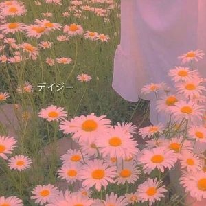 恋爱画板