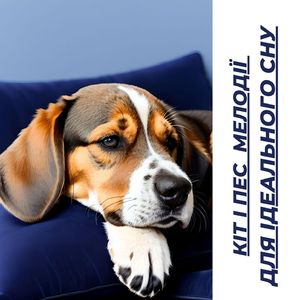 обережно погладьте тварин