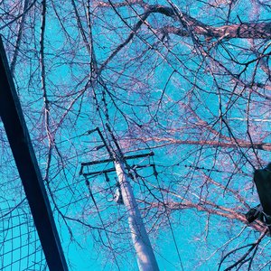 爱情照相机(prod by LiTtle)