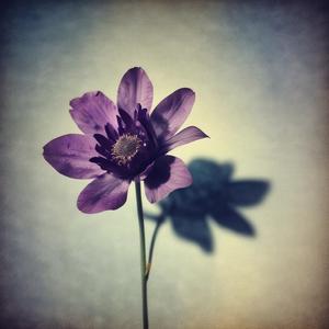 Perdido sem você (Remastered) by @dumbstruckgirlgroups2326