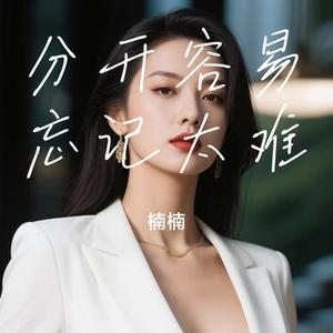 分开容易忘记太难 (Cover 李雨婷)