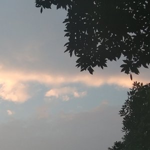 【Free】emo type beat