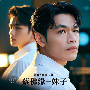 蔡佛缘 - 妹子 伴奏