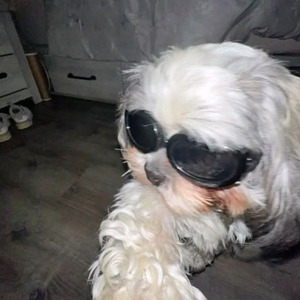 you need to calm down