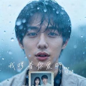我哼着你爱听的歌 (Cover 杨小壮)