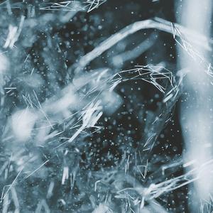 寒风中奔跑的你（studio）