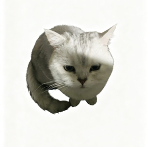 它