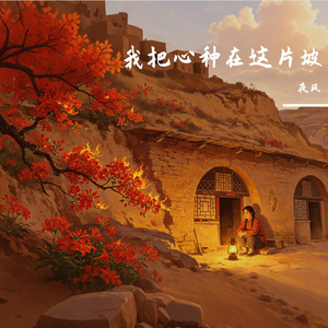 我把心种在这片坡