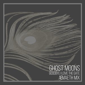 Goodbye I Love The Gate (Aemaeth Remix)