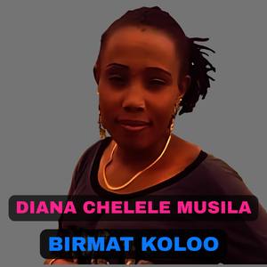 Birmat Koloo