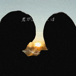 君が泣く夜には