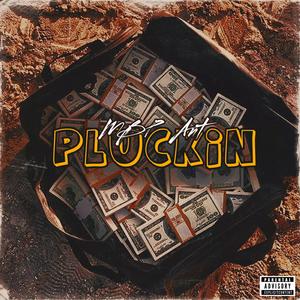 Pluckin