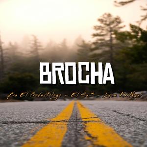 Brocha