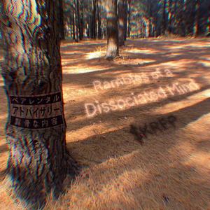 ReDirecting.....