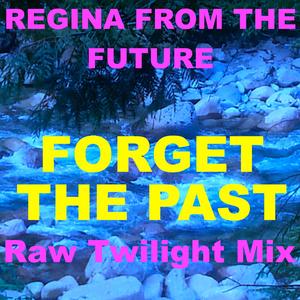 Forget The Past (Raw Accoustic Twilight Mix)