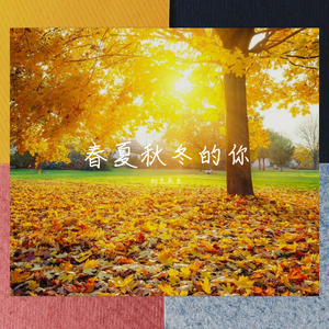 春夏秋冬的你