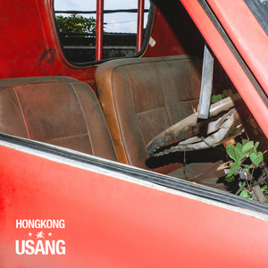 Usang