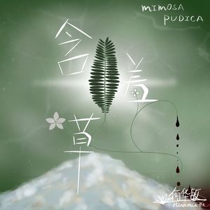 含羞草 (Mimosa Pudica)