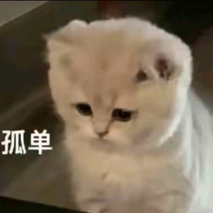 如果能够留在你身边
