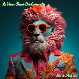 Catégoriser Tous Les Risques