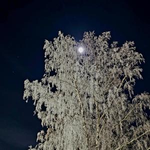 Alt du har elsket ligger i snøen