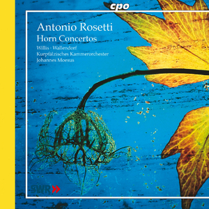 Horn Concerto in E Major, C50/III:44: I. Allegro