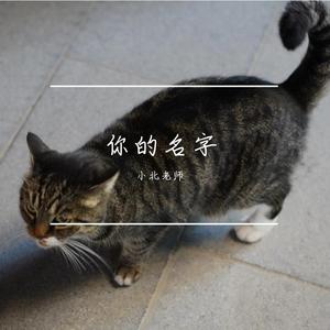 你的名字