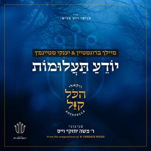 ‎⁨יודע תעלומות⁩ (feat. Yanky Steinmetz)