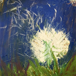 昼间月华：薄雾